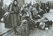 F6_Evacuees 3